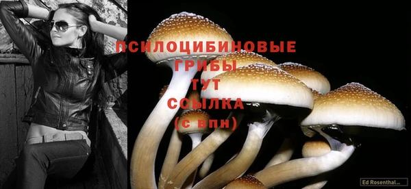 СК Балахна