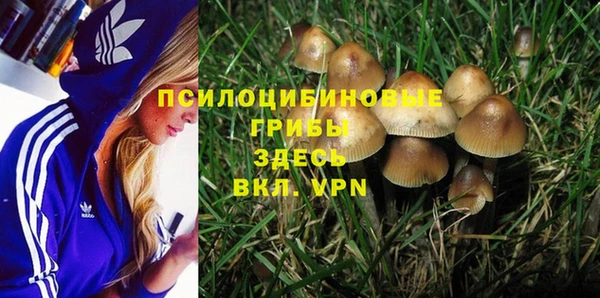дурь Баксан