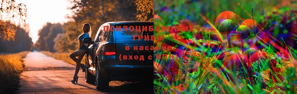 метадон Аркадак